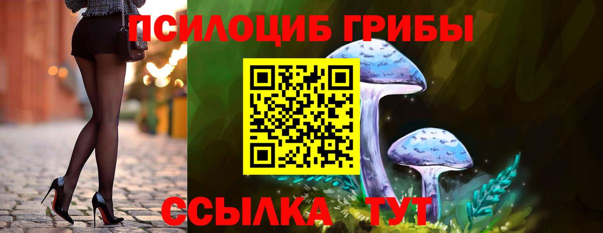 Псилоцибиновые грибы Magic Shrooms Гусиноозёрск